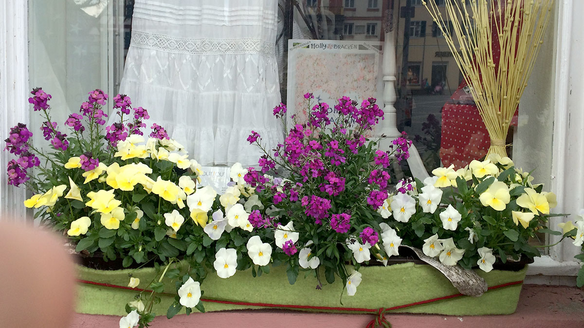 Frühlingsbepflanzung im Blumenkasten