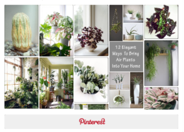 Zimmerpflanzen-Board auf Pinterest