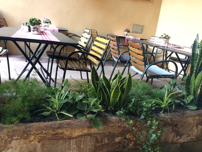 Gemütlich werden Draußenplätze durch Pflanzen in Blumenkästen und Pflanztröge
